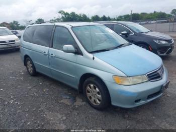  Salvage Honda Odyssey