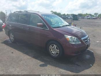  Salvage Honda Odyssey