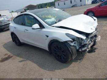 Salvage Tesla Model Y