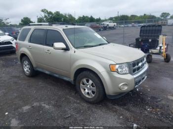  Salvage Ford Escape