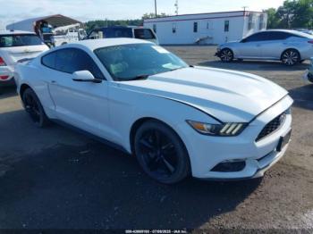  Salvage Ford Mustang