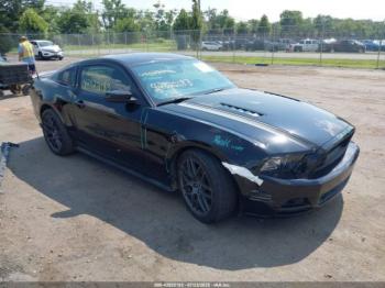  Salvage Ford Mustang