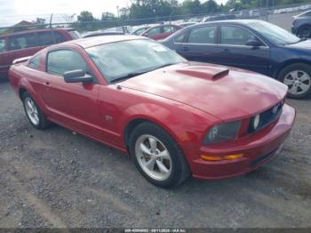  Salvage Ford Mustang