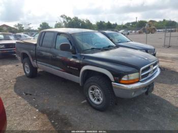 Salvage Dodge Dakota