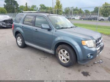  Salvage Ford Escape