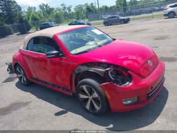  Salvage Volkswagen Beetle