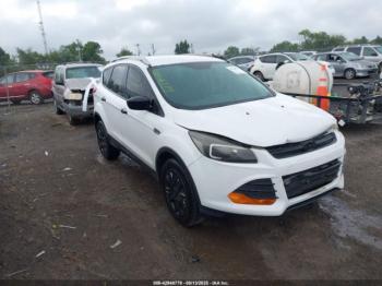  Salvage Ford Escape