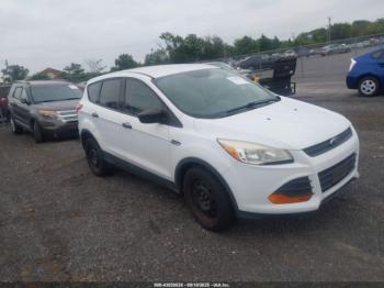  Salvage Ford Escape