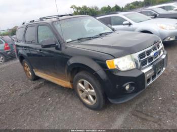  Salvage Ford Escape