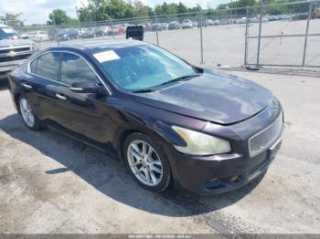  Salvage Nissan Maxima