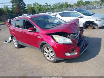  Salvage Ford Escape