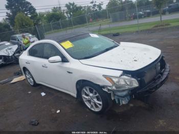  Salvage Nissan Maxima