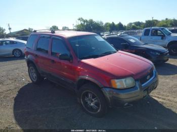  Salvage Ford Escape