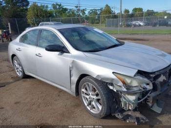  Salvage Nissan Maxima