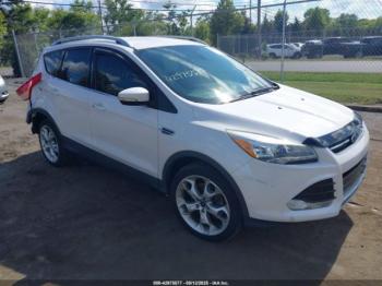  Salvage Ford Escape