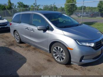  Salvage Honda Odyssey