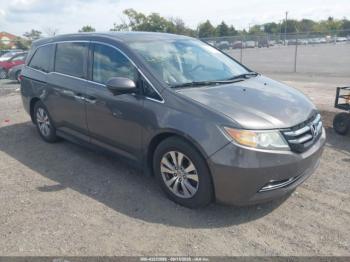  Salvage Honda Odyssey