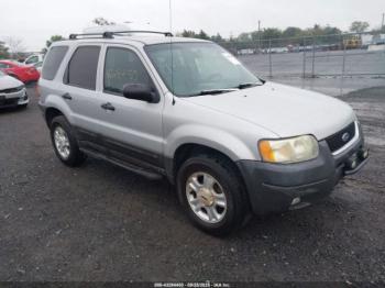  Salvage Ford Escape