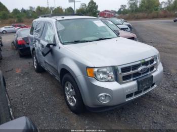  Salvage Ford Escape