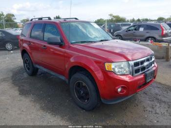  Salvage Ford Escape