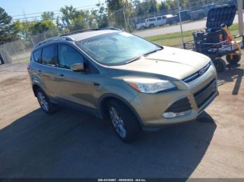  Salvage Ford Escape