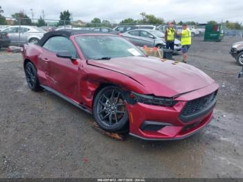  Salvage Ford Mustang