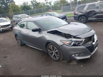  Salvage Nissan Maxima