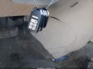 Honda Odyssey Ex-l Image 8