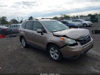  Salvage Subaru Forester