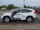 Honda CR-V Ex Image 8