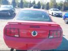 Ford Mustang Gt Premium Image 13