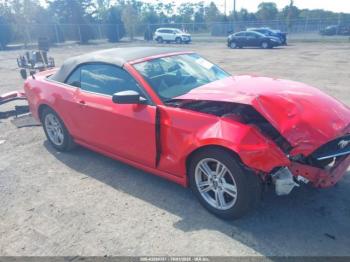  Salvage Ford Mustang