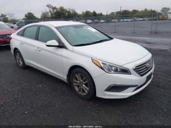  Salvage Hyundai SONATA