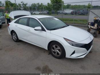  Salvage Hyundai ELANTRA