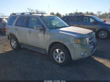  Salvage Ford Escape