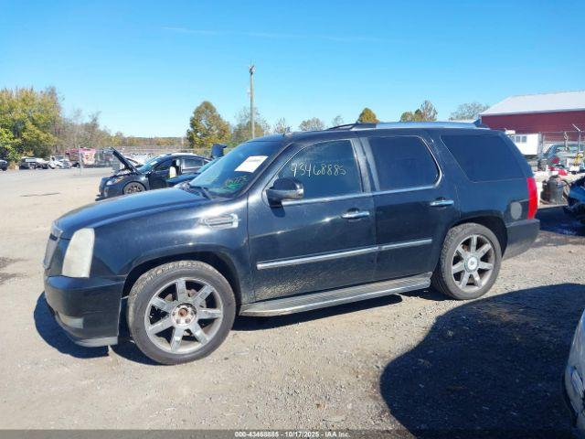 Cadillac Escalade Standard Image 11