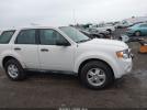 Ford Escape Xls Image 6