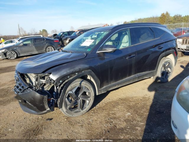 Hyundai TUCSON Limited Image 4