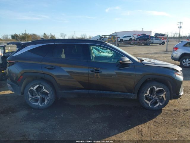 Hyundai TUCSON Limited Image 3