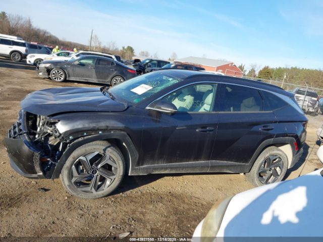 Hyundai TUCSON Limited Image 9