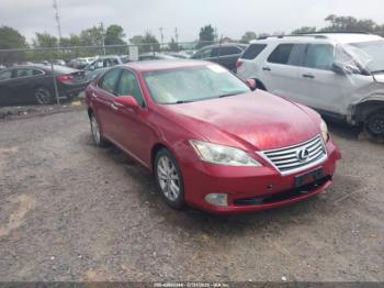  Salvage Lexus Es