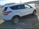 Ford Escape Se Image 5