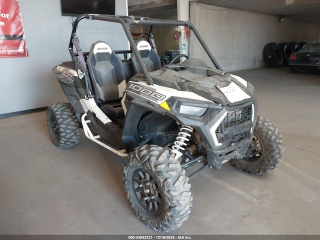 Polaris RZR Image 1