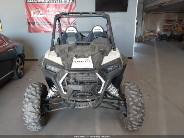 Polaris RZR Image 6