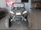 Polaris RZR Image 6