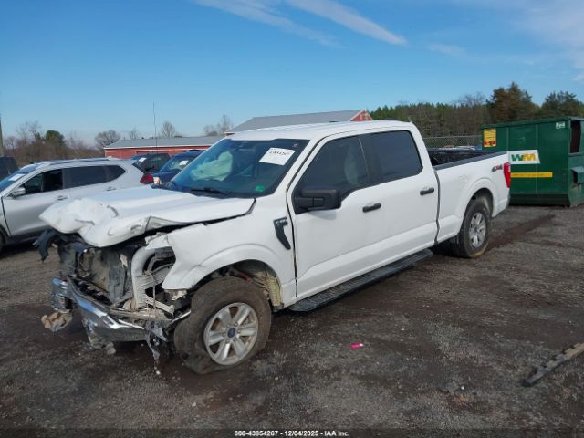 Ford F-150 Xl Image 12