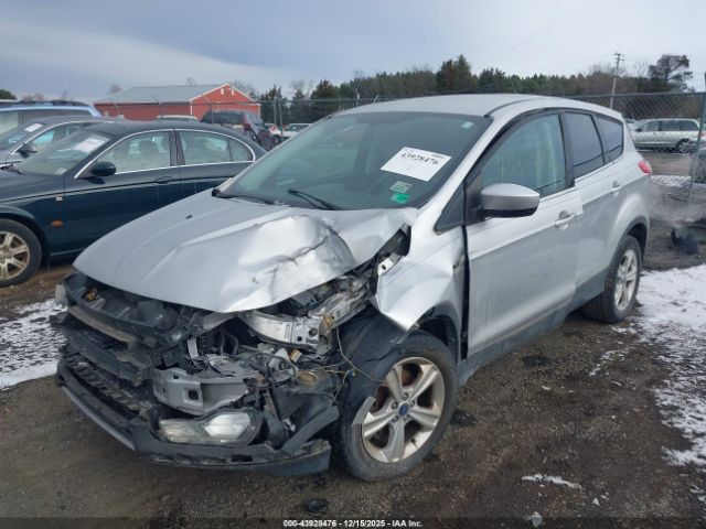 Ford Escape Se Image 7