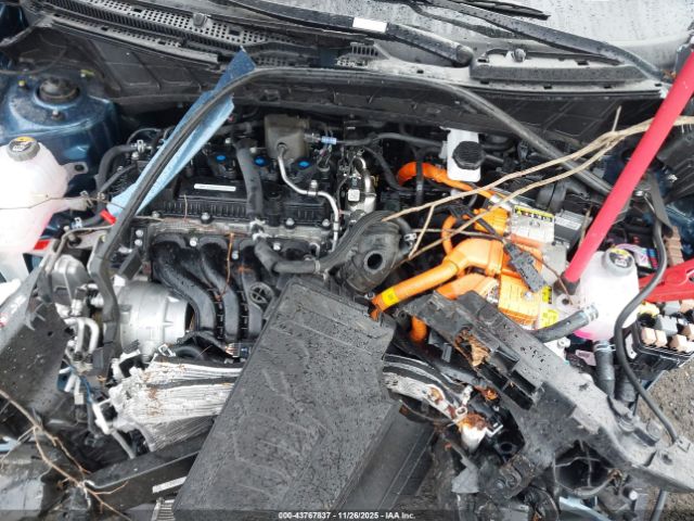 Kia Niro Ex Image 12