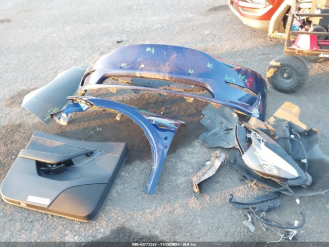 Tesla Model Y Image 12