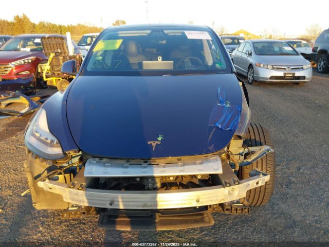 Tesla Model Y Image 11